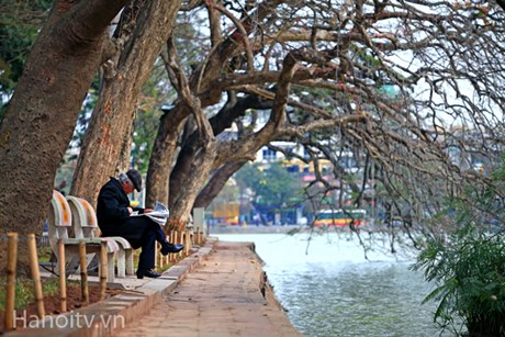 Nhiệt độ Bắc Bộ tăng, nắng ấm nhiều ngày tới