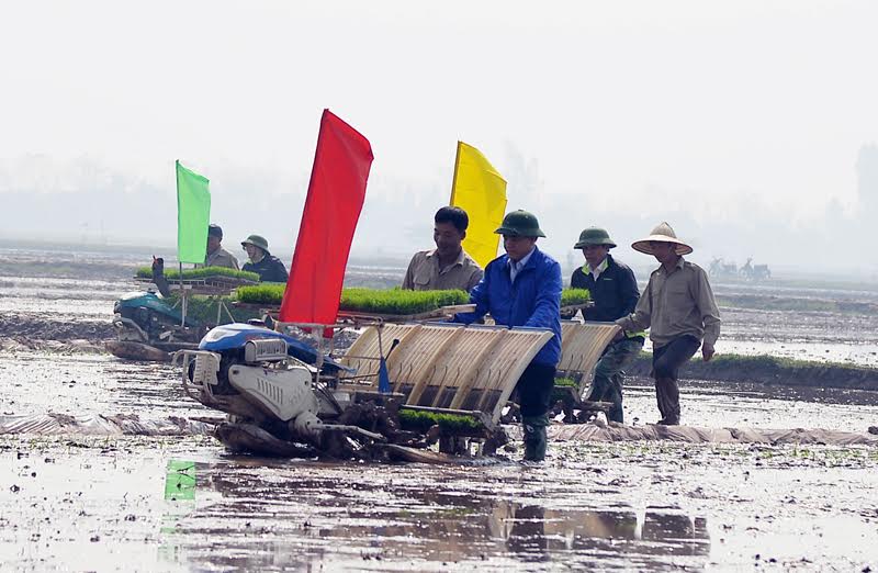 Bí thư, Chủ tịch Hà Nội xuống đồng đi cấy