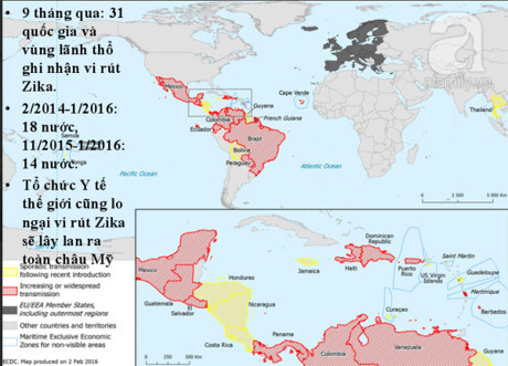 Những nước đã có Zika