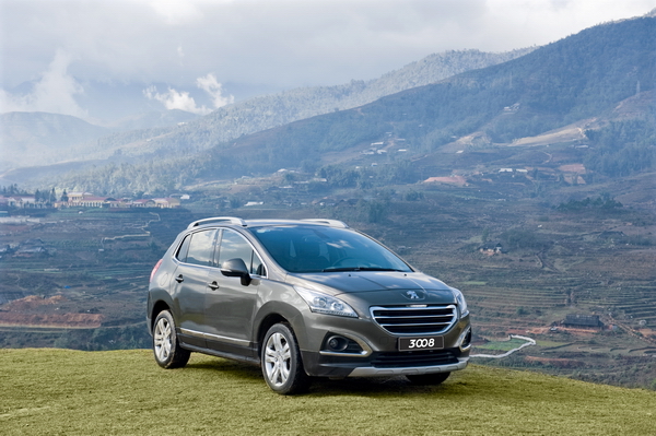 Peugeot 3008_08_resize.jpg