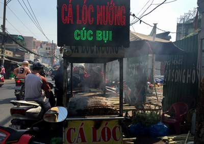 TPHCM: Dân đổ xô mua cá lóc ngày Thần Tài
