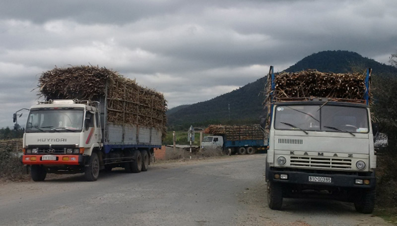 Chánh Thanh tra giao thông Gia Lai bị &quot;trảm&quot;