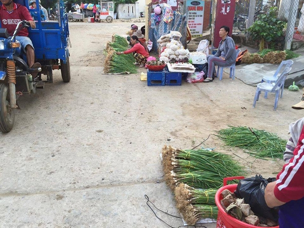 Tỏi Lý Sơn, loại này dùng để xào, ăn như hành xào nhưng ngọt và không hề cay, món rau duy nhất có trên đảo. Món rau thứ 2 là giá đỗ hoặc cải mầm. Hoa quả trên đảo cũng dặt là tỏi, bóc ăn sống rất ngọt và dẻo.