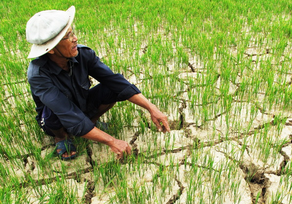 Phó Thủ tướng Nguyễn Xuân Phúc: &quot;Không để dân đói, khát do nắng hạn&quot;!
