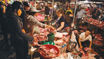 Thực phẩm bẩn đe dọa giống nòi