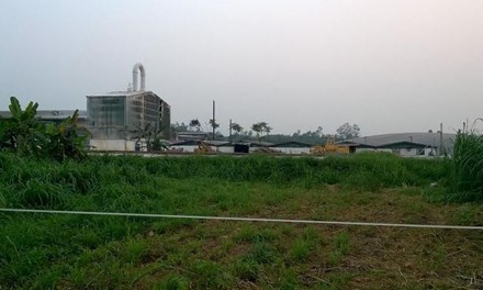 Nổ lớn ở nhà máy tinh bột sắn, 4 người bị thương