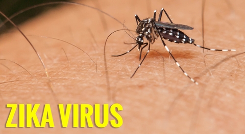 Chủ động hướng dẫn, cung cấp thông tin cho du khách về Zika
