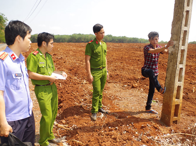 Cường đang thực hiện lại hành vi leo cột cắt cáp của mình