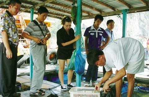 Xử lý đối tượng &quot;chặt chém&quot; khách du lịch trên Vịnh Hạ Long