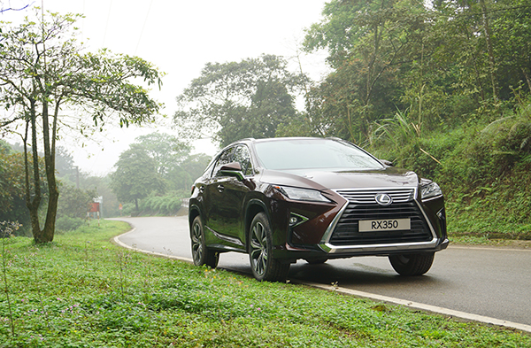 Lexus RX350 13.jpg