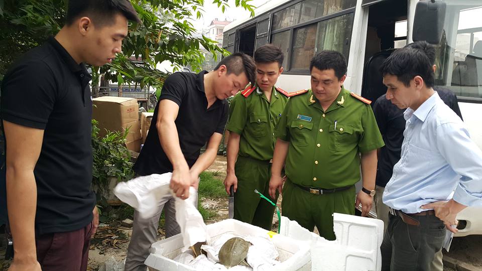 Lực lượng chức năng kiểm tra số ba ba nhập lậu