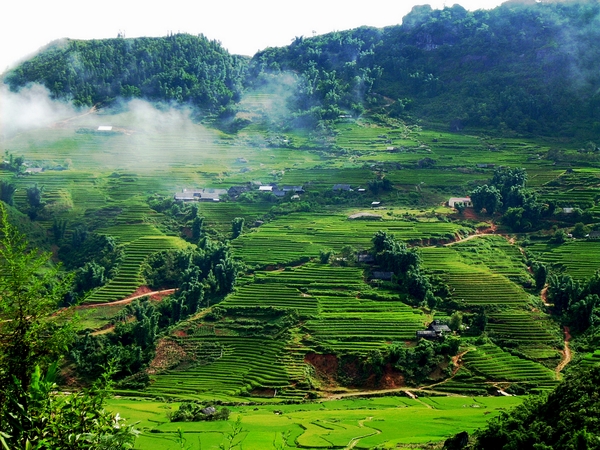 Thung lũng Mai Châu- Hòa Bình.