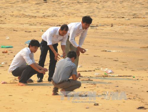 Điều tra nghi vấn Formosa xả thải khiến cá chết hàng loạt