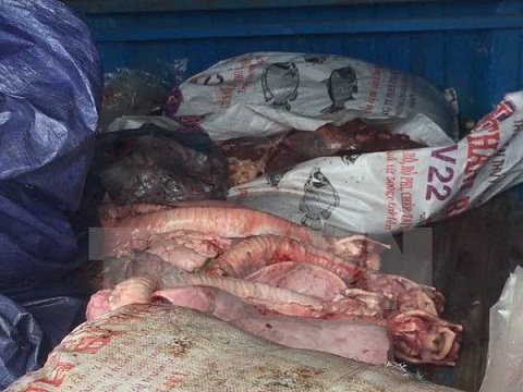 Bắt giữ xe tải chở 6 tạ nội tạng động vật không nguồn gố​c