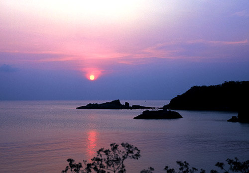 Mũi Cá Mập.