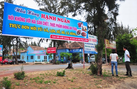 Bình tĩnh xử lý thông tin cá chết, thông tin trung thực cho khách du lịch