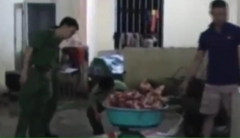 Phát hiện cơ sở chuyên mổ lợn chết đưa vào các trường học tiêu thụ