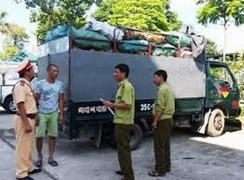 Phát hiện vụ vận chuyển cá nóc số lượng lớn