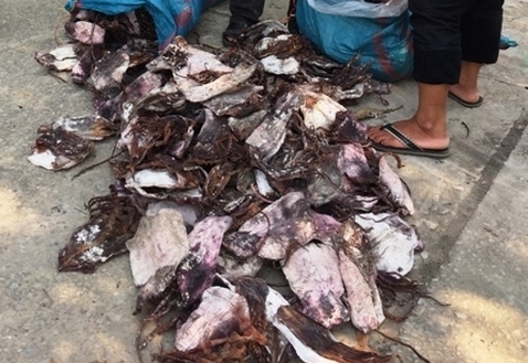 Chặn hơn 21 tấn mực khô thối &quot;ngấp nghé&quot; vào thị trường