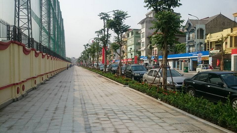 Lê Trọng Tấn 2