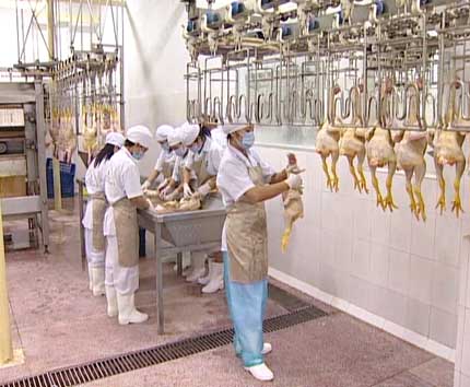 Cuối năm 2017, TP.HCM không còn cơ sở giết mổ thủ công