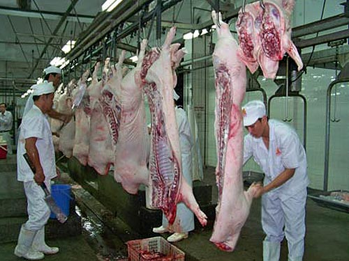 Cuối năm 2017, TP.HCM không còn cơ sở giết mổ thủ công.