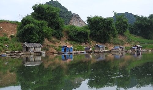 Thanh Hóa: Cá nuôi lồng tiếp tục chết trên sông Bưởi