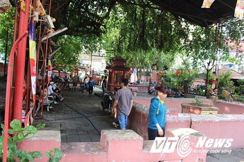Khuôn viên ngôi chùa có rất nhiều cây xanh, bể nuôi cá, ba ba