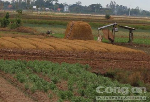Hiện trường nơi nạn nhân bị làm nhục