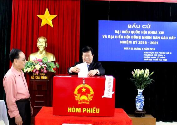 Cử tri cả nước nô nức đi bầu cử