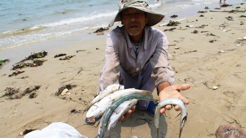 Đại biểu Trần Hoàng Ngân: Formosa không nên tồn tại!