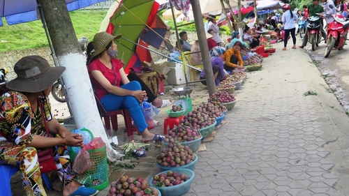 5 / 7 Dọc theo con phố ở Trung tâm thị trấn Bắc Hà, mận được bà con bày bán với số lượng lớn.