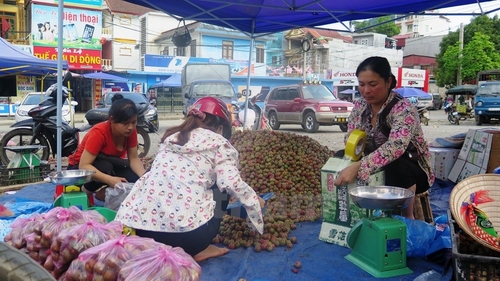 Cụ thể, mận loại 1 ngon nhất được bán từ 50.000-60.000 đồng/kg. Mận loại 2 có giá từ 25.000-40.000 đồng/kg; mận loại 3 nhỏ nhất có giá từ 10.000-20.000 đồng/kg. 