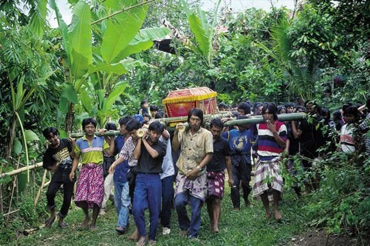 Tour du lịch đám ma ở Indonesia: Tại thị trấn Rantepao, Indonesia, du khách được tham gia vào một tour đám tang kỳ quặc. Dân Torajan nổi tiếng trên khắp thế giới với nghi lễ tang ma kéo dài nhiều ngày, bao gồm cả lễ hiến tế trâu đậm bản sắc. Ngày nay mỗi năm có hơn 200.000 du khách đổ về đây. Vào những ngày có đám ma, chợ Pasar Bolu, chợ bán trâu rất tấp nập.
