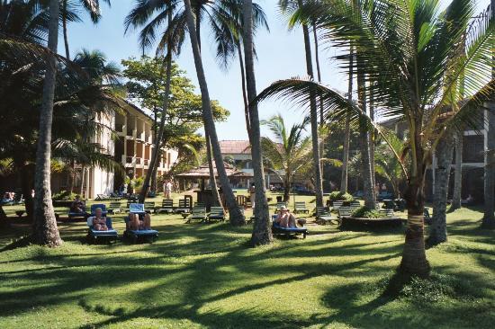 Ảnh Tripadvisor.