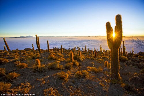 Khung cảnh tuyệt đẹp của cánh đồng muối Salar de Uyuni lúc bình minh.