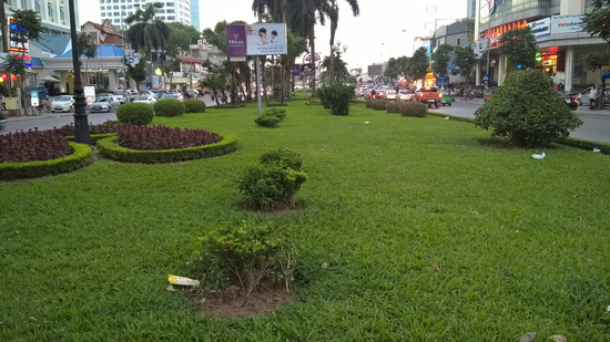 cây xanh
