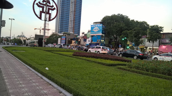 cây xanh
