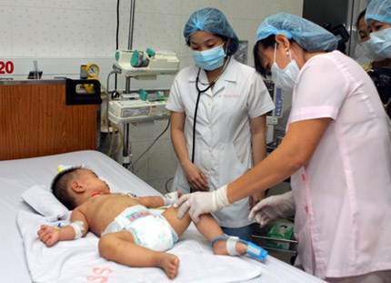 Hà Nội: Cấp bách hành động, hạn chế tử vong do viêm não Nhật Bản