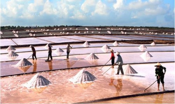Vị mặn của muối cũng thấm cả vị mặn mồ hôi của các diêm dân. Ảnh: binhthuantv.vn