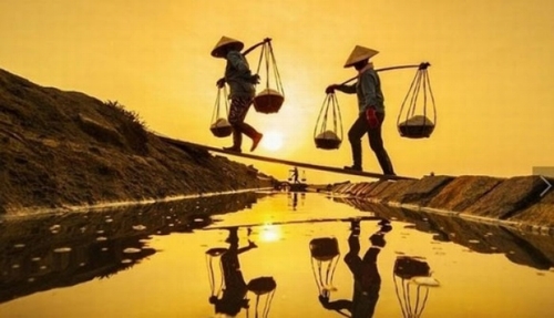 Cảnh cánh đồng muối lúc hoàng hôn.