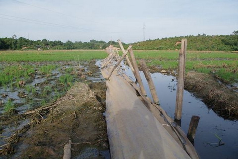 Thêm vụ ô nhiễm môi trường khiến Chính phủ phải chỉ đạo xử lý