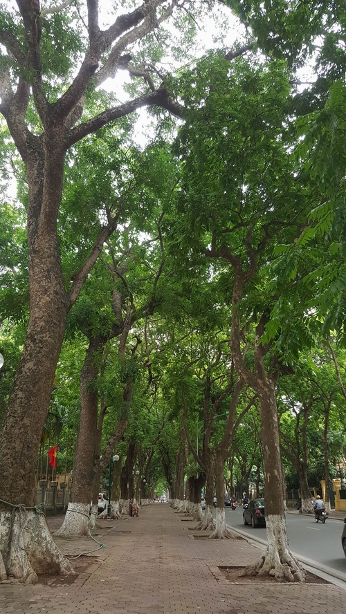 Phan Đình Phùng, phố sấu của Hà Nội.