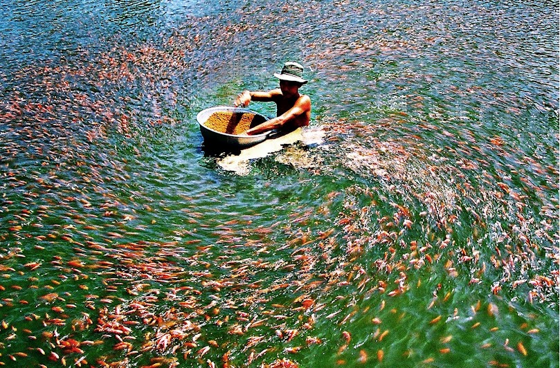 Cơ nghiệp của ngư dân đang bị bán rẻ