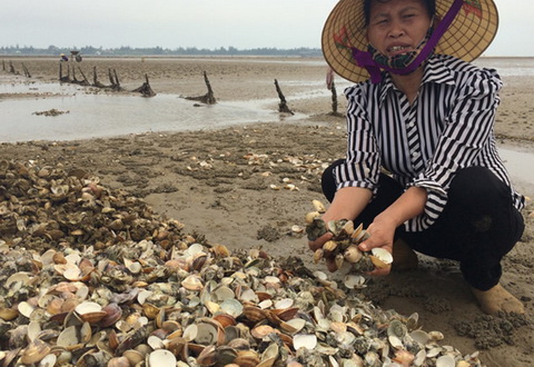 Bộ Tài nguyên và Môi trường phải công bố chính xác về an toàn môi trường biển