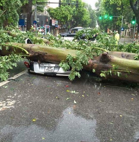 bão số 1
