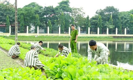 Bắt giữ ba phạm nhân phá khóa trốn trại ở Nghệ An