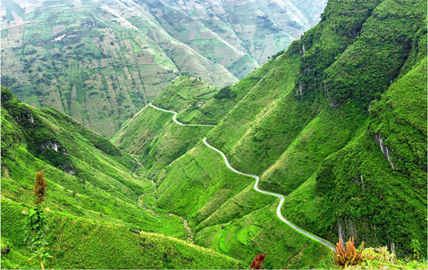 Tết Độc Lập nên đi Mộc Châu hay Hà Giang?