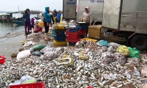 2 ngày nữa, Formosa chuyển nốt tiền bồi thường, chi tiêu thế nào?