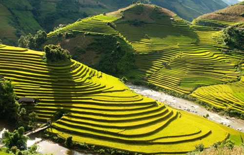 Tuyệt tác ruộng bậc thang Hoàng Su Phì nhìn từ trên cao